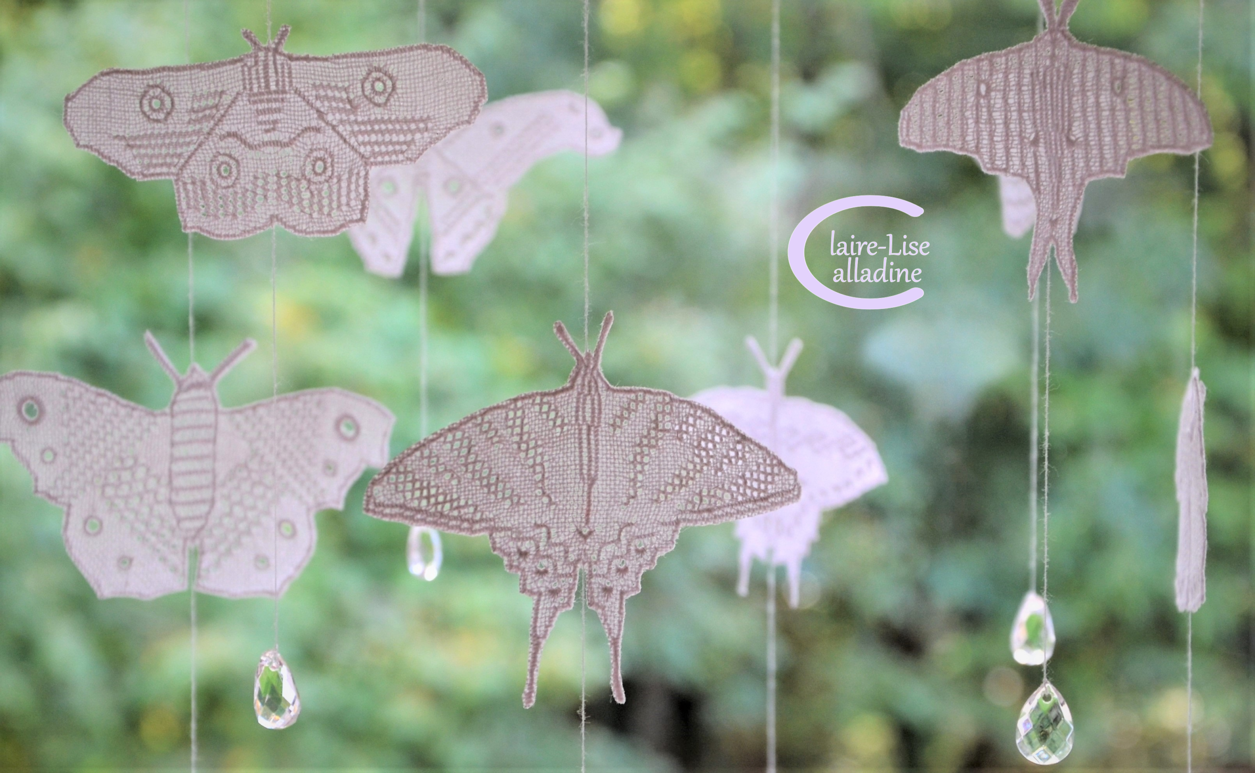 8 Papillons – Image 4