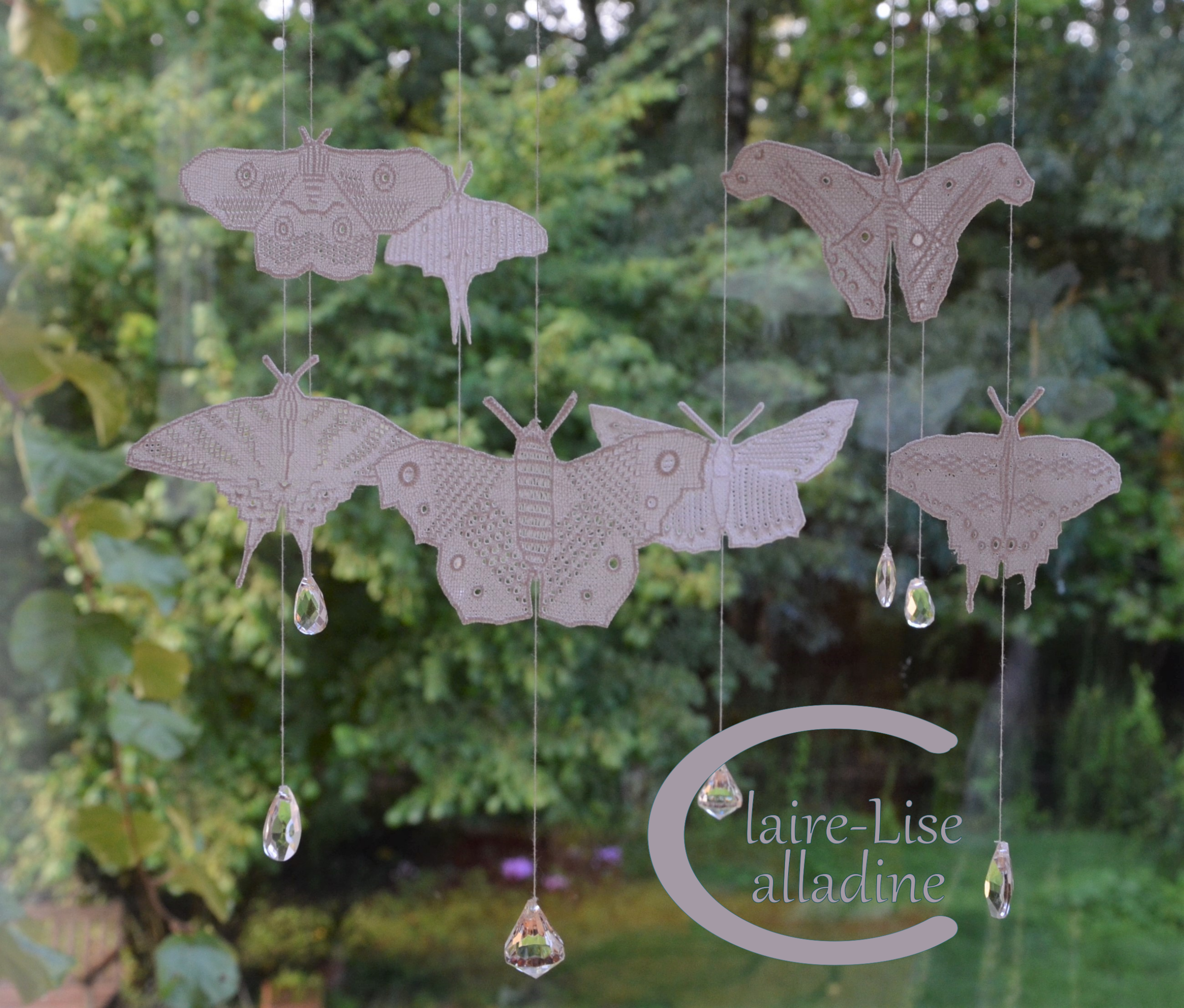 8 Papillons – Image 5